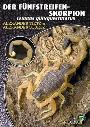 Der Fünfstreifen-Skorpion von Stürtz,  Alexander, Tietz,  Andreas