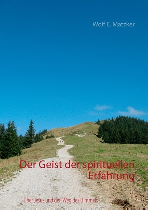 Der Geist der spirituellen Erfahrung von Matzker,  Wolf E.