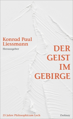 Der Geist im Gebirge von Liessmann,  Konrad Paul