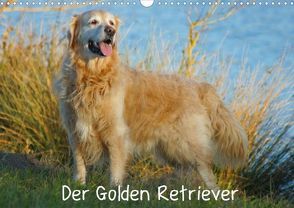 Der Golden Retriever (Posterbuch DIN A3 quer) von Kattobello,  k.A.