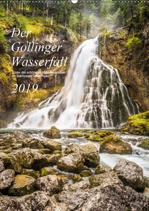 Der Gollinger Wasserfall (Wandkalender 2019 DIN A2 hoch) von Reicher,  Thomas