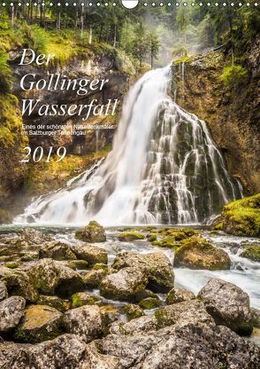 Der Gollinger Wasserfall (Wandkalender 2019 DIN A3 hoch) von Reicher,  Thomas