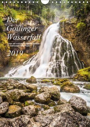 Der Gollinger Wasserfall (Wandkalender 2019 DIN A4 hoch) von Reicher,  Thomas