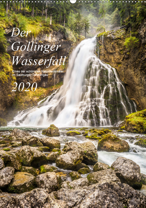 Der Gollinger Wasserfall (Wandkalender 2020 DIN A2 hoch) von Reicher,  Thomas