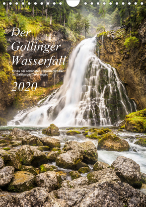 Der Gollinger Wasserfall (Wandkalender 2020 DIN A4 hoch) von Reicher,  Thomas