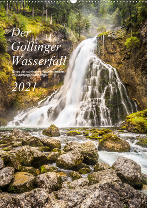 Der Gollinger Wasserfall (Wandkalender 2021 DIN A2 hoch) von Reicher,  Thomas