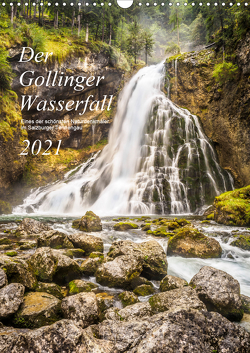 Der Gollinger Wasserfall (Wandkalender 2021 DIN A3 hoch) von Reicher,  Thomas