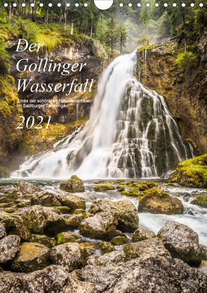 Der Gollinger Wasserfall (Wandkalender 2021 DIN A4 hoch) von Reicher,  Thomas