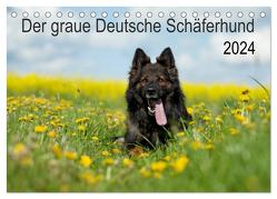 Der graue Deutsche Schäferhund (Tischkalender 2024 DIN A5 quer), CALVENDO Monatskalender von Schiller,  Petra