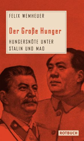 Der Große Hunger von Wemheuer,  Felix