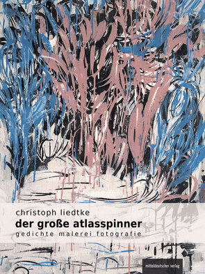 Der große Atlasspinner von Liedtke,  Christoph