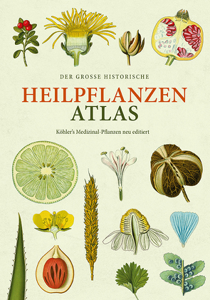 Der große Heilpflanzen-Atlas von Köhler,  Hermann Adolph, Tackenberg,  Dr. Oliver