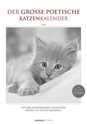 Der große poetische Katzenkalender 2020 – Literarischer Bildkalender A3 (30 x 42) – mit Zitaten – schwarz-weiß – Tierkalender von ALPHA EDITION
