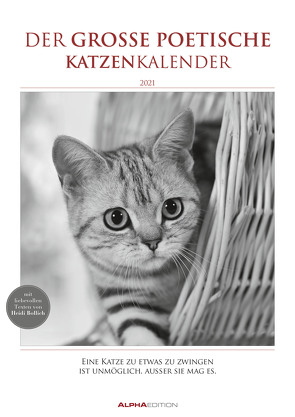 Der große poetische Katzenkalender 2021 – Literarischer Bild-Kalender A3 (29,7×42 cm) – mit Zitaten – schwarz-weiß – Tier-Kalender – Alpha Edition