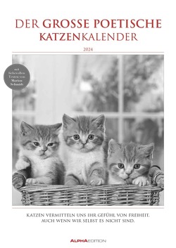 Der große poetische Katzenkalender 2024 – Bildkalender A3 (29,7×42 cm) – mit schönen Zitaten – schwarz-weiß – Tierkalender – Wandplaner – Wandkalender