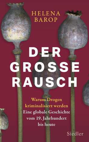 Der große Rausch von Barop,  Helena