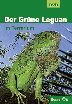Der Grüne Leguan im Terrarium von Dreutler,  Udo, Köhler,  Gunther