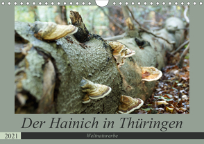 Der Hainich in Thüringen – Weltnaturerbe (Wandkalender 2021 DIN A4 quer) von Flori0