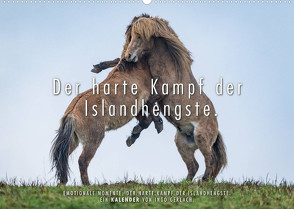 Der harte Kampf der Islandhengste. (Wandkalender 2022 DIN A2 quer) von Gerlach,  Ingo