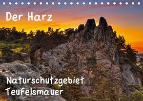 Der Harz, Naturschutzgebiet Teufelsmauer (Tischkalender 2019 DIN A5 quer) von Kühne,  Daniel