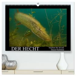 Der Hecht – Tauchen Sie ab mit Daniel Hohlfeld (hochwertiger Premium Wandkalender 2024 DIN A2 quer), Kunstdruck in Hochglanz von Hohlfeld,  Daniel