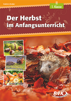 Der Herbst im Anfangsunterricht von Thoenes,  Sonja, Zindler,  Kathrin