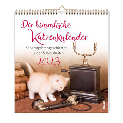 Der himmlische Katzenkalender 2023 von Wendler,  Heike