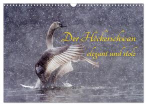 Der Höckerschwan elegant und stolz (Wandkalender 2024 DIN A3 quer), CALVENDO Monatskalender von Martin (GDT),  Wilfried