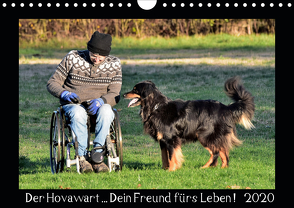 Der Hovawart… Dein Freund fürs Leben ! (Wandkalender 2020 DIN A4 quer) von Siebert,  Jens