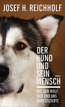 Der Hund und sein Mensch von Reichholf,  Josef H.