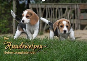 Der Hundewelpen-Geburtstagskalender (Wandkalender immerwährend DIN A2 quer) von - Antje Lindert Rottke + Martina Berg,  Pferdografen.de