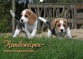 Der Hundewelpen-Geburtstagskalender (Wandkalender immerwährend DIN A3 quer) von - Antje Lindert Rottke + Martina Berg,  Pferdografen.de