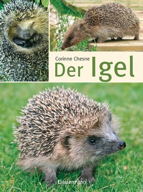 Der Igel von Chesne,  Corinne