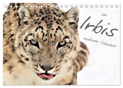 der Irbis – mystische Schönheit (Tischkalender 2024 DIN A5 quer), CALVENDO Monatskalender von Köppl,  Angelika