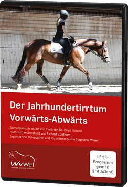 Der Jahrhundertirrtum Vorwärts-Abwärts von Schock,  Birgit