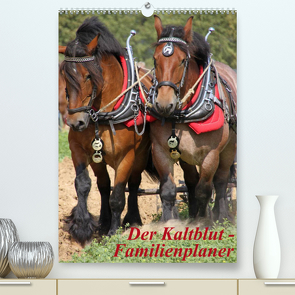 Der Kaltblut-Familienplaner (Premium, hochwertiger DIN A2 Wandkalender 2023, Kunstdruck in Hochglanz) von Lindert-Rottke,  Antje