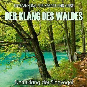 Der Klang des Waldes – Naturklang der Singvögel (ohne Musik) von Vietze,  Thomas