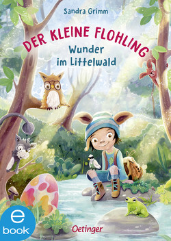 Der kleine Flohling 3. Wunder im Littelwald von Grimm,  Sandra, Grote,  Anja