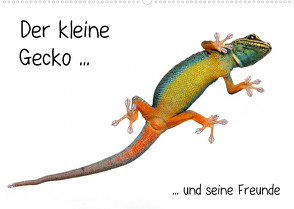 Der kleine Gecko und seine Freunde (Wandkalender 2023 DIN A2 quer) von Eppele,  Klaus