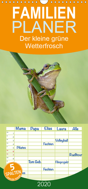 Der kleine grüne Wetterfrosch – Familienplaner hoch (Wandkalender 2020 , 21 cm x 45 cm, hoch) von Wurster,  Beate