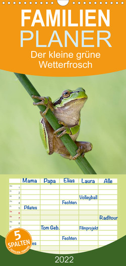 Der kleine grüne Wetterfrosch – Familienplaner hoch (Wandkalender 2022 , 21 cm x 45 cm, hoch) von Wurster,  Beate