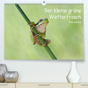 Der kleine grüne Wetterfrosch (Premium, hochwertiger DIN A2 Wandkalender 2020, Kunstdruck in Hochglanz) von Wurster,  Beate