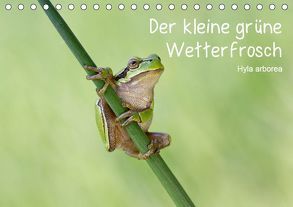 Der kleine grüne Wetterfrosch (Tischkalender 2019 DIN A5 quer) von Wurster,  Beate