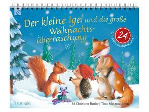 Der kleine Igel und die große Weihnachtsüberraschung von Butler,  M Christina, Macnaughton,  Tina