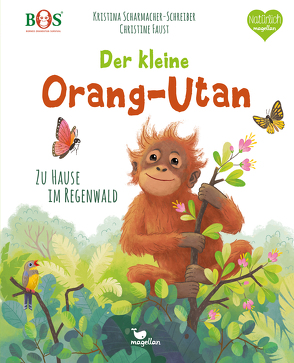 Der kleine Orang-Utan – Zu Hause im Regenwald von Faust,  Christine, Scharmacher-Schreiber,  Kristina