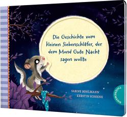 Der kleine Siebenschläfer 6: Die Geschichte vom kleinen Siebenschläfer, der dem Mond Gute Nacht sagen wollte von Bohlmann,  Sabine, Schoene,  Kerstin