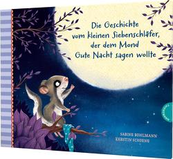 Der kleine Siebenschläfer 6: Die Geschichte vom kleinen Siebenschläfer, der dem Mond Gute Nacht sagen wollte von Bohlmann,  Sabine, Schoene,  Kerstin