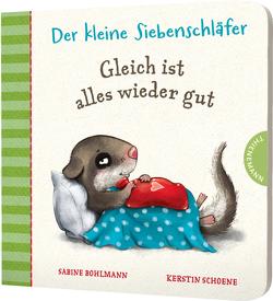 Der kleine Siebenschläfer: Gleich ist alles wieder gut von Bohlmann,  Sabine, Schoene,  Kerstin