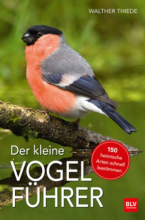 Der kleine Vogelführer von Thiede,  Walther