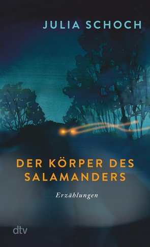 Der Körper des Salamanders von Schoch,  Julia